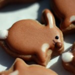 bunny2-450x300