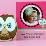 1sr Birthday Owl Cookies