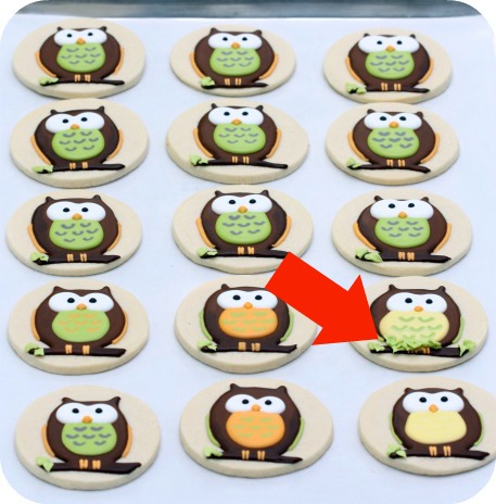 https://sweetopia.net/wp-content/uploads/2012/03/decorated-cookies-owls-mistake.jpg