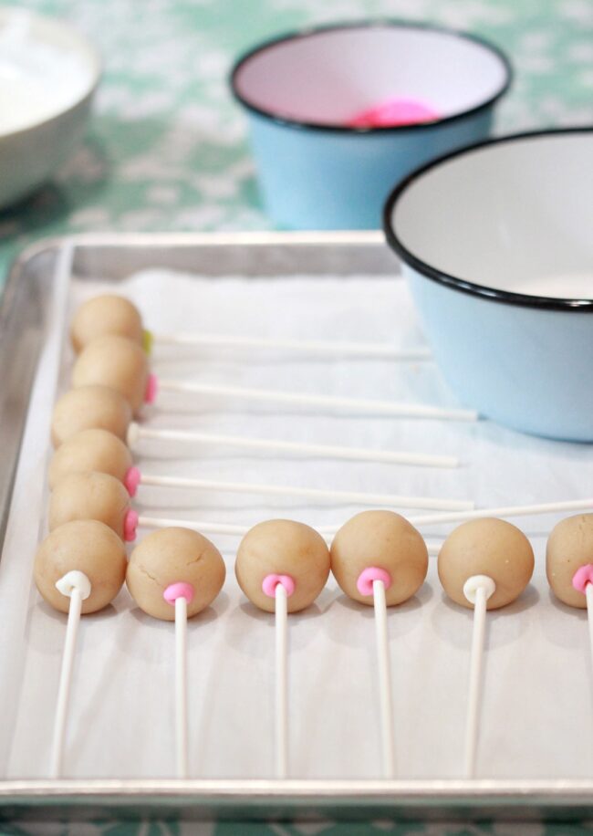 Making Cake Pops with the Easy Roller Sweetopia