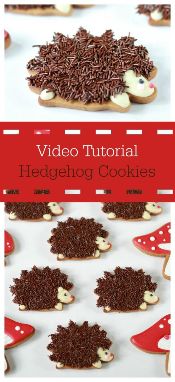 video-how-to-decorate-hedgehog-or-porcupine-cookies