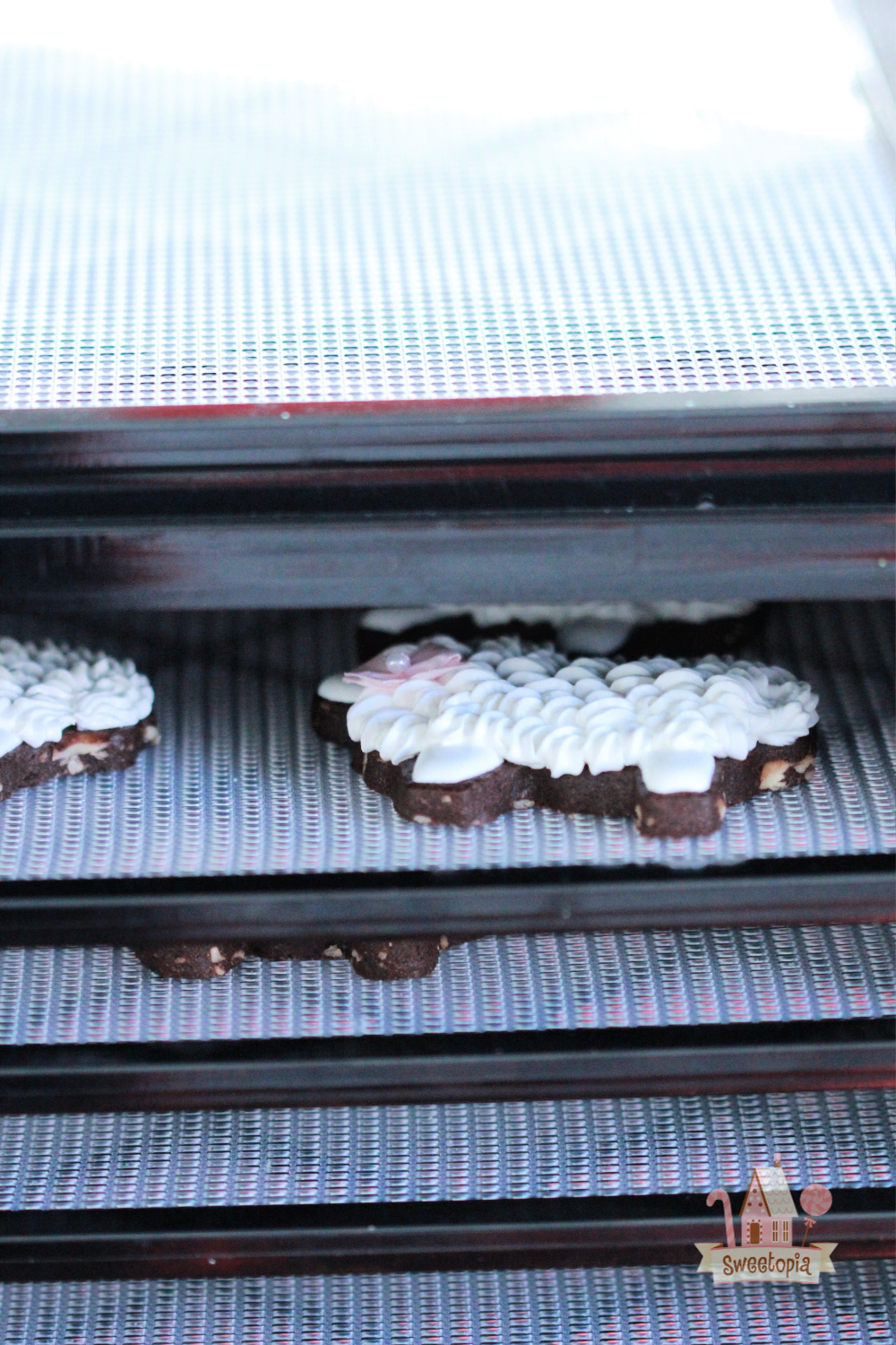 https://sweetopia.net/wp-content/uploads/2020/03/Drying-Cookies-in-Dehydrator.jpg